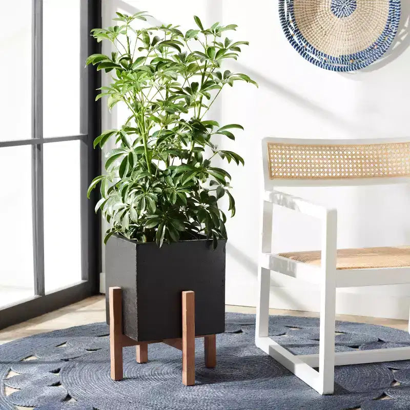 Jardinière - Intérieur/Extérieur