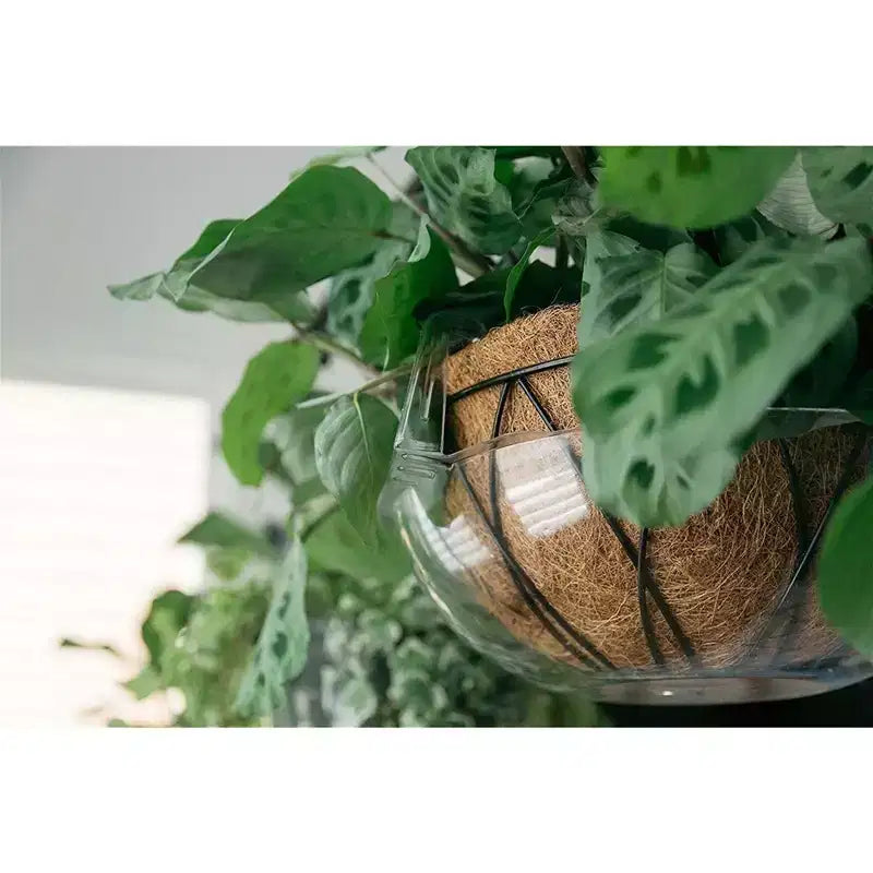 Soucoupe anti-goutte pour panier suspendu, transparente, 30-35 cm